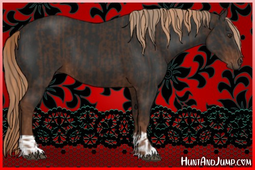 Horse Color:Liver Chestnut and Gray Liver Chestnut