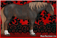 Horse Color:Liver Chestnut  and Gray Liver Chestnut 