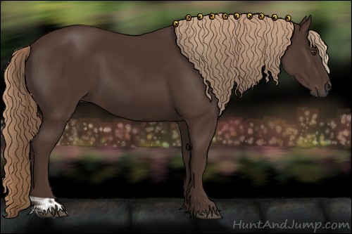 Horse Color:Liver Chestnut  and Liver Chestnut 