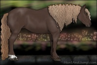 Horse Color:Liver Chestnut  and Liver Chestnut 