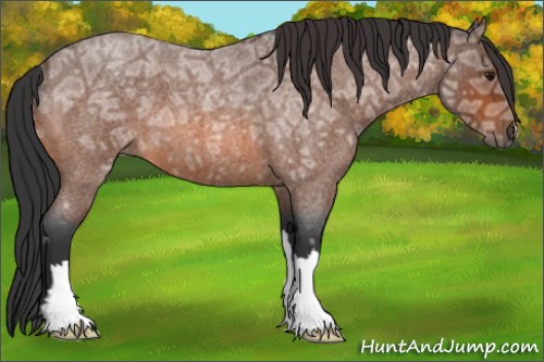 Horse Color:Bay Ice Roan 