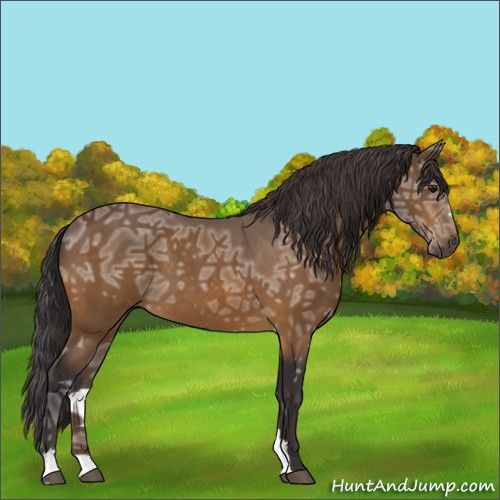 Horse Color:Buckskin Ice Sabino 