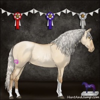 Horse Color:Silver Grullo Pearl Tobiano 