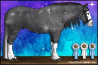 Horse Color:Black Splash