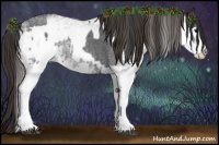 Horse Color:White Spotted Blue Roan Rabicano  and White Spotted Smoky Blue Roan Rabicano 