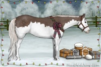 Horse Color:Silver Black Splash 