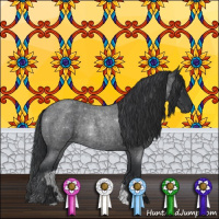 Horse Color:Blue Roan 