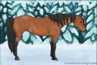 Horse Color:Bay Roan 