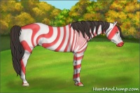 Horse Color:Amber Champagne Dun 