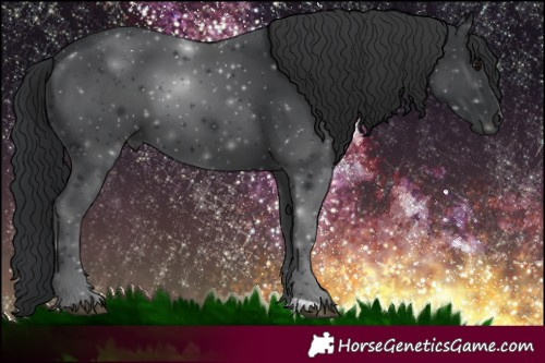 Horse Color:Black 