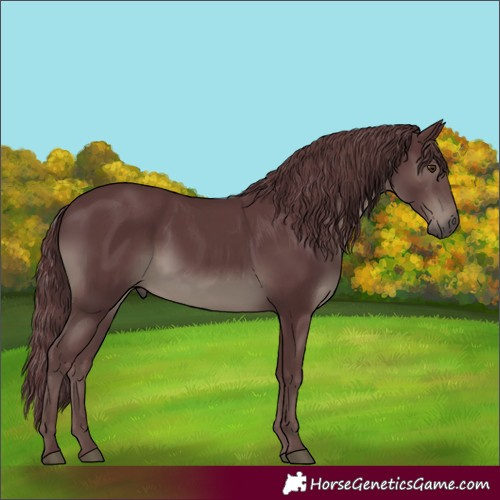 Horse Color:Platinum Chocolate Black 