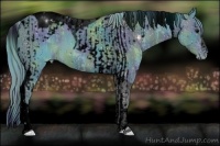 Horse Color:ERROR: UNKNOWN ANOMALY and ERROR: UNKNOWN ANOMALY