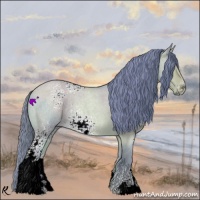 Horse Color:Watercolor White Spotted Buckskin Roan Dun