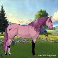 Horse Color:Watercolor Red Dun Sabino Tobiano 