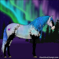 Horse Color:Watercolor White Spotted Bay Dun Splash 