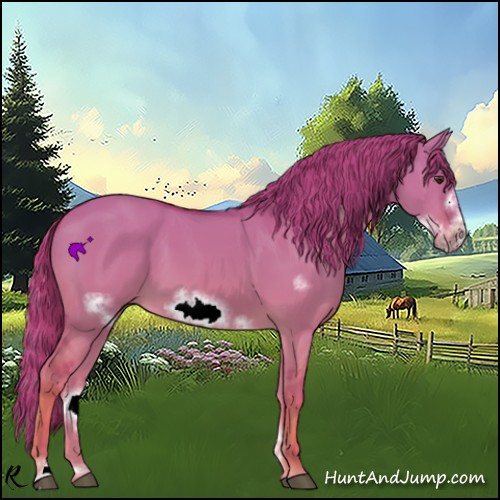 Horse Color:Watercolor Red Dun Sabino Frame 