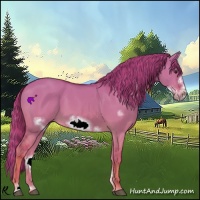 Horse Color:Watercolor Red Dun Sabino Frame
