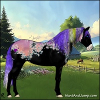Horse Color:Watercolor White Spotted Brown Dun Sabino Splash 