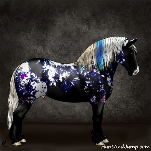 Horse Color:Watercolor Palomino Dun Sabino Splash Appaloosa