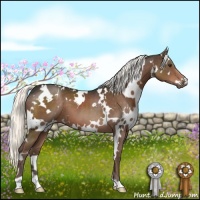 Horse Color:White Spotted Liver Chestnut 