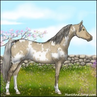Horse Color:White Spotted Chocolate Palomino Dun Mushroom Rabicano