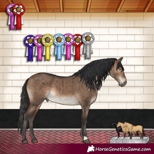 Horse Color:Brown Dun Brindle 