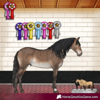 Horse Color:Brown Dun Brindle 