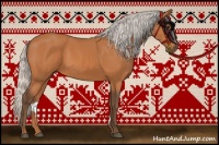 Horse Color:Silver Bay
