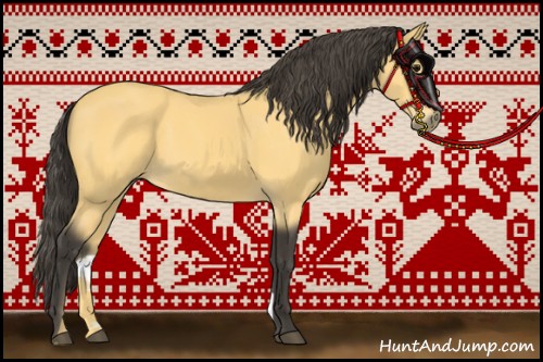 Horse Color:Buckskin 
