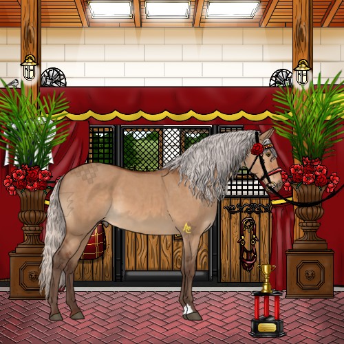 Horse Color:Silver Bay Dun 