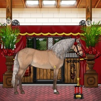 Horse Color:Silver Bay Dun 