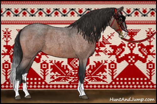 Horse Color:Bay Roan Splash 