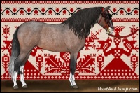 Horse Color:Bay Roan Splash 