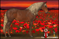 Horse Color:Gray Chestnut Sabino 