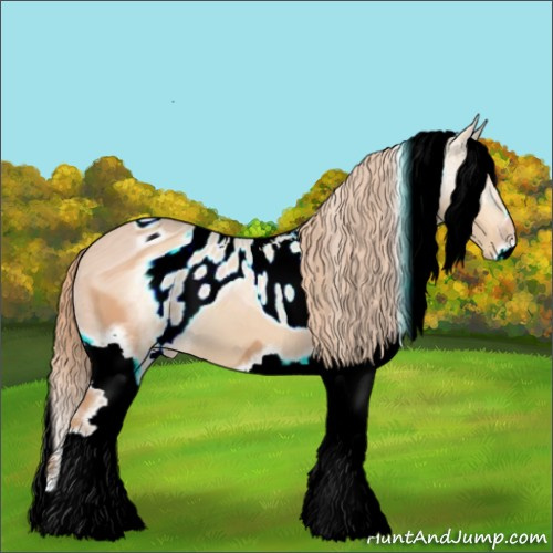 Horse Color:ERROR: UNKNOWN ANOMALY