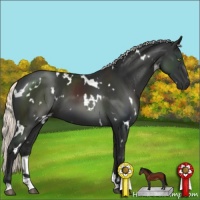 Horse Color:White Spotted Liver Chestnut Mushroom 