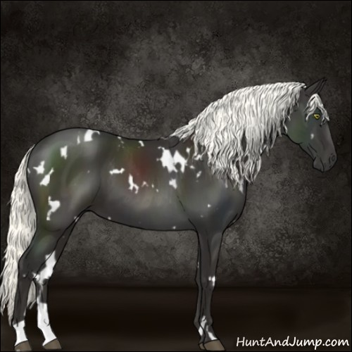 Horse Color:White Spotted Liver Chestnut Mushroom 