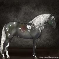 Horse Color:White Spotted Liver Chestnut Mushroom 