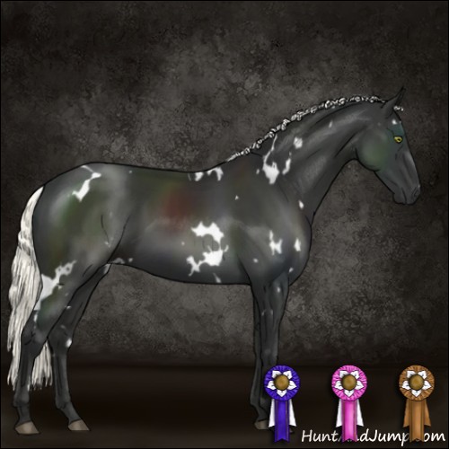 Horse Color:White Spotted Liver Chestnut Mushroom 