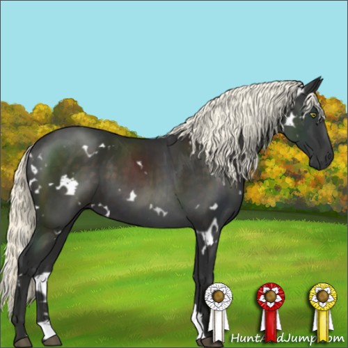 Horse Color:White Spotted Liver Chestnut Mushroom 