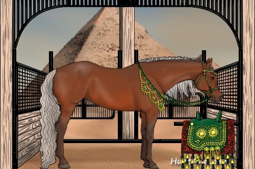 Horse Color:Silver Bay 