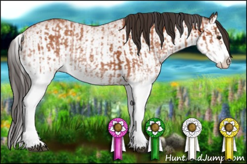 Horse Color:White Spotted Bay Splash  and White Spotted Bay Splash 