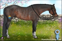 Horse Color:Brown Rabicano  and Brown Rabicano 