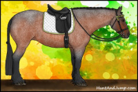 Horse Color:Bay Roan 