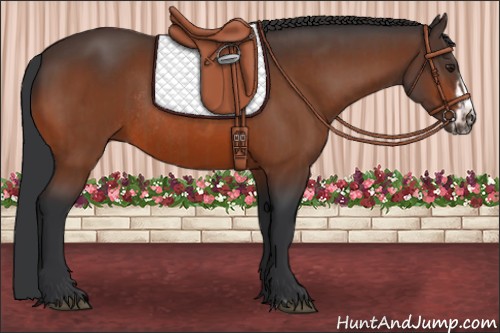 Horse Color:Brown Rabicano  and Brown Frame Rabicano 