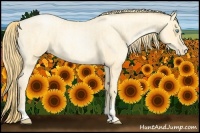 Horse Color:Buckskin Roan Pearl  and Buckskin Roan Pearl 