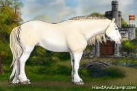 Horse Color:Buckskin Roan Pearl  and Buckskin Roan Pearl Splash 