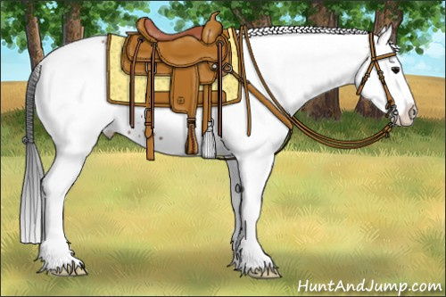 Horse Color:White Spotted Bay Ice Splash 