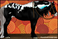 Horse Color:White Spotted Brown Splash Appaloosa 