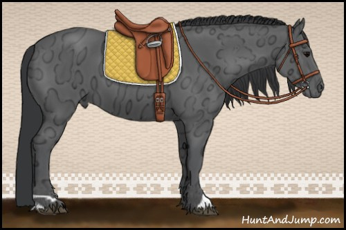 Horse Color:Black Ice 